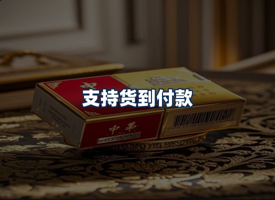 专业团队办公环境